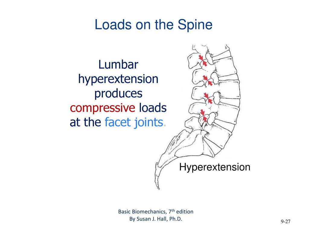 back pain flexibility needle scorpion cheer